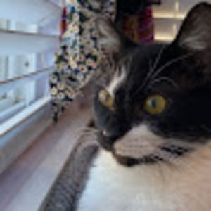 Meet your Posher, Cari